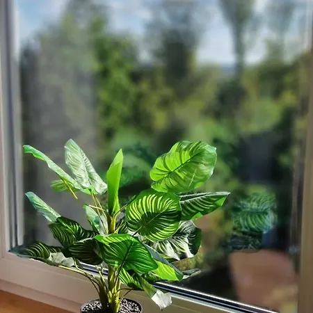 Apartment Sweet